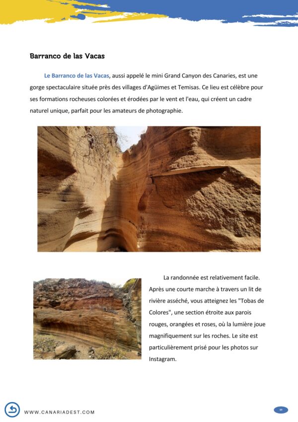 Vibrations Canaries - GRAN CANARIA – Image 6